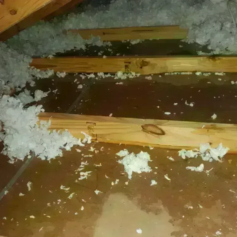 Attic Water Damage in Pelham, AL