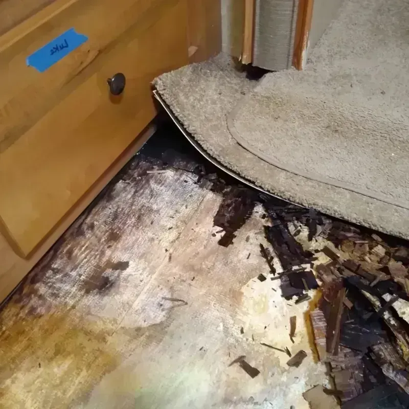 Wood Floor Water Damage in Pelham, AL